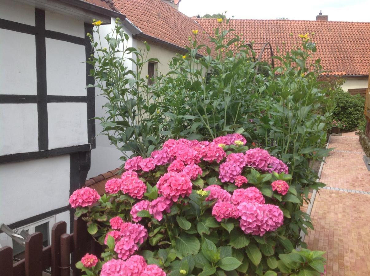 Appartementanlage Tecklenburger Altstadt *